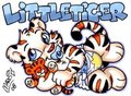 Littletiger by Marci by Littletiger