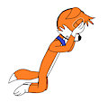 Zach the Fox's Story