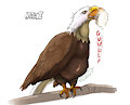 Bald Eagle gulping down fox by Artca9