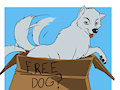 Free......Dog?