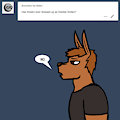 ASK BONNIE & CO 944