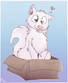 A Wolf in a Box