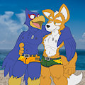 Fox & Falco
