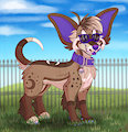 Good Little Chi