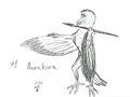1 Aarakora