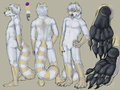 Shiro character sheet by Fuzzypaws