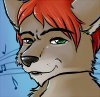 The College Years - Full album by Peppercoyote