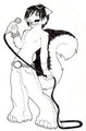 Gifty for Shippomaru
