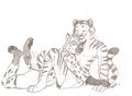 Trax Sketch Commission