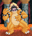 My Own "Bowsers Inside Story"