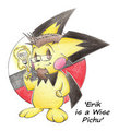 'Erik is a Wise Pichu'