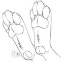 Free to Color .:Gift:.