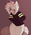 Robbi
