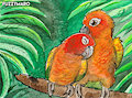 Lovebirbs&nbsp;&nbsp;(ATC)