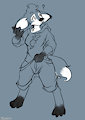 Vixen Shift
