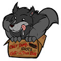 A Wolf in a Box