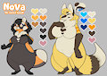 Nova the 'cursed ' Tanuki