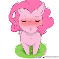 Ponkiss