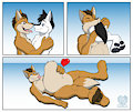 Commission - Wolftail