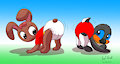 Shake Your Booty -By CoffeehoundJoe-
