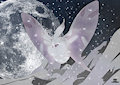 Frosmoth - the Frost Moth