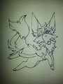 PKNerd-Catfox
