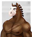 Stallion portrait