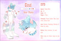 Cloud Ref Sheet