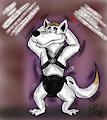 Damaron The Diapered Arctic Wolf