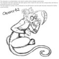 Orange 42
