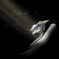 Snowsilver: Personal