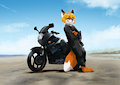 A Fox and his Bike by Foxhound824