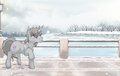 Fresh Snowfall