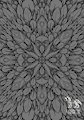 symmetry feathers