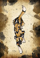 Painted Dog Tattoo by Dragonmelde