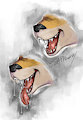 Maw Study by Slapfuzzy