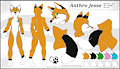 updated refsheet ( hairless ) by anthrofurry