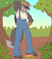 *C*_'The big bad wolf'