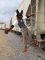 Duke rides into town