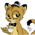 Fancy cougar
