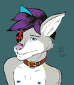 Eyepatch by Shuyo