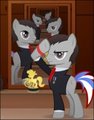 Colbert Pony