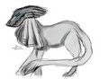 Sketchy Talyxia Design