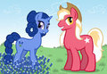 Bluebonnet and Lone Star by joeartguy