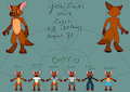 Sona Ref Sheet by YoshiCooki