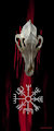 Yote Skull Painting by RemoBlockade117