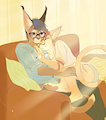 [Comm]Lap Cat