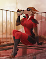 The Evening Shot - By Allatir