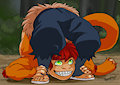 Noksuke