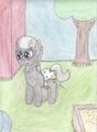 Diaper Snobs